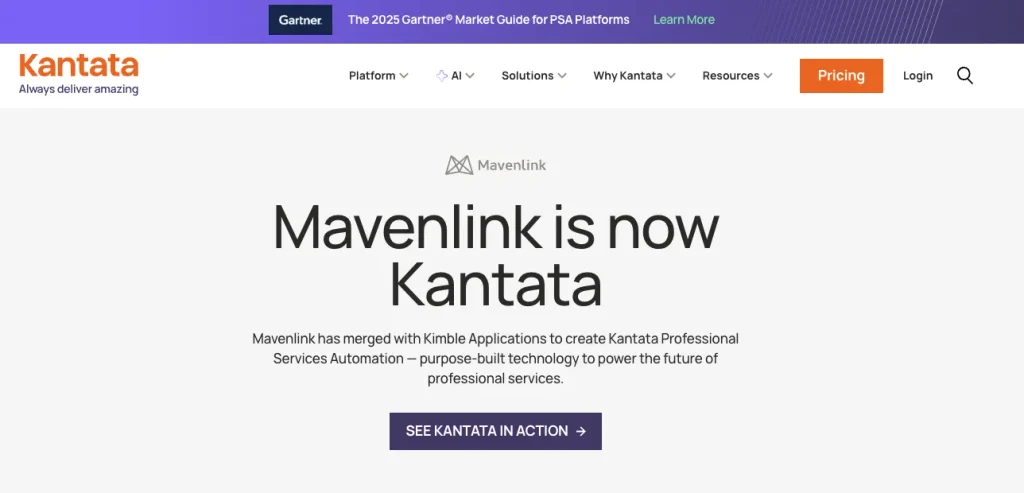 mavenlink alternative